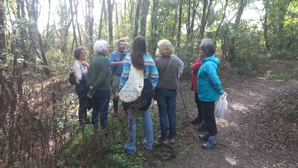 sortie mycologie 2026